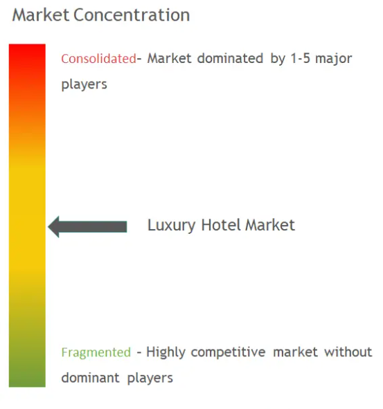 Luxury Hotel Market Concentration